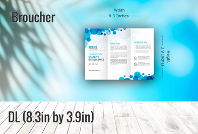 Custom DL (8.3in by 3.9in) - Brochure